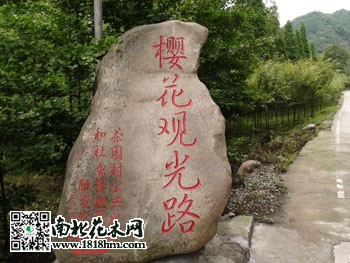 觀光路