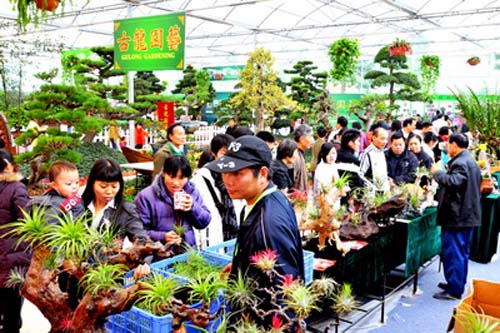 花木產業