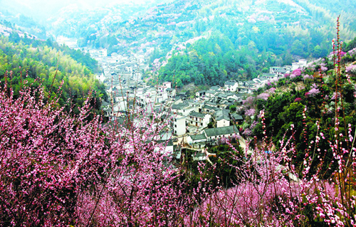 花卉產業