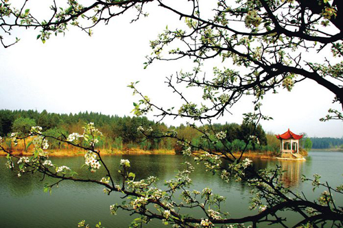 宿遷三臺山森林公園圖片