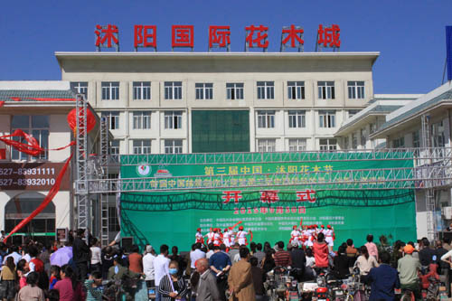 花鄉民俗表演