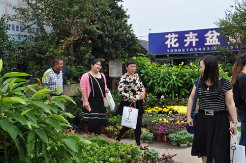 河北：涿州市建設花卉苗木示范區7000畝